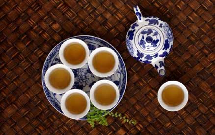 铁皮石斛枫斗入茶很适合夏季饮用